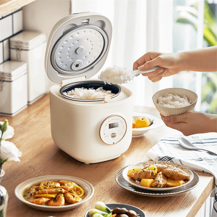 Our Picks: 3 Best Mini Rice Cookers for Small Kitchens in Australia