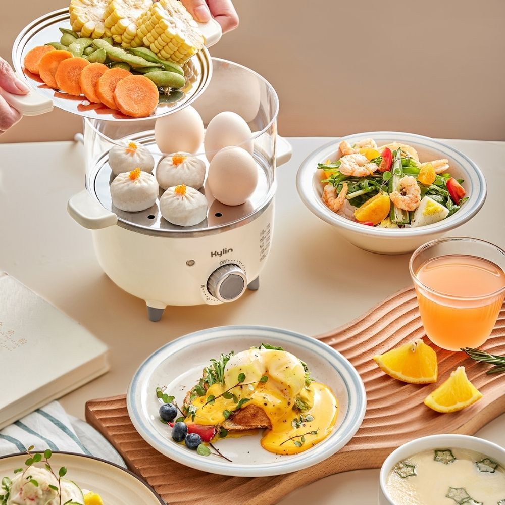 Electric Egg Boiler