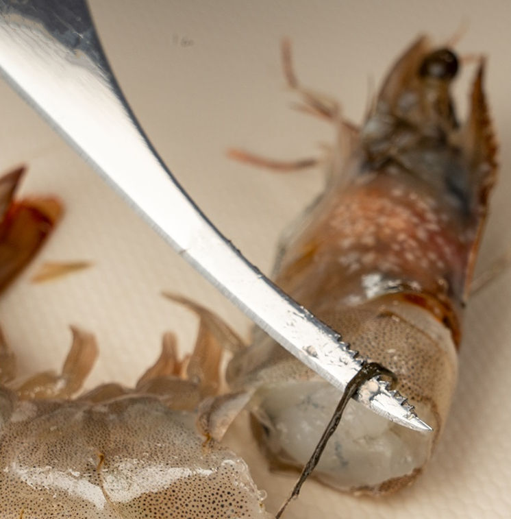 SSGP Classic Stainless Steel Seafood Crab Shrimp Thread Knife