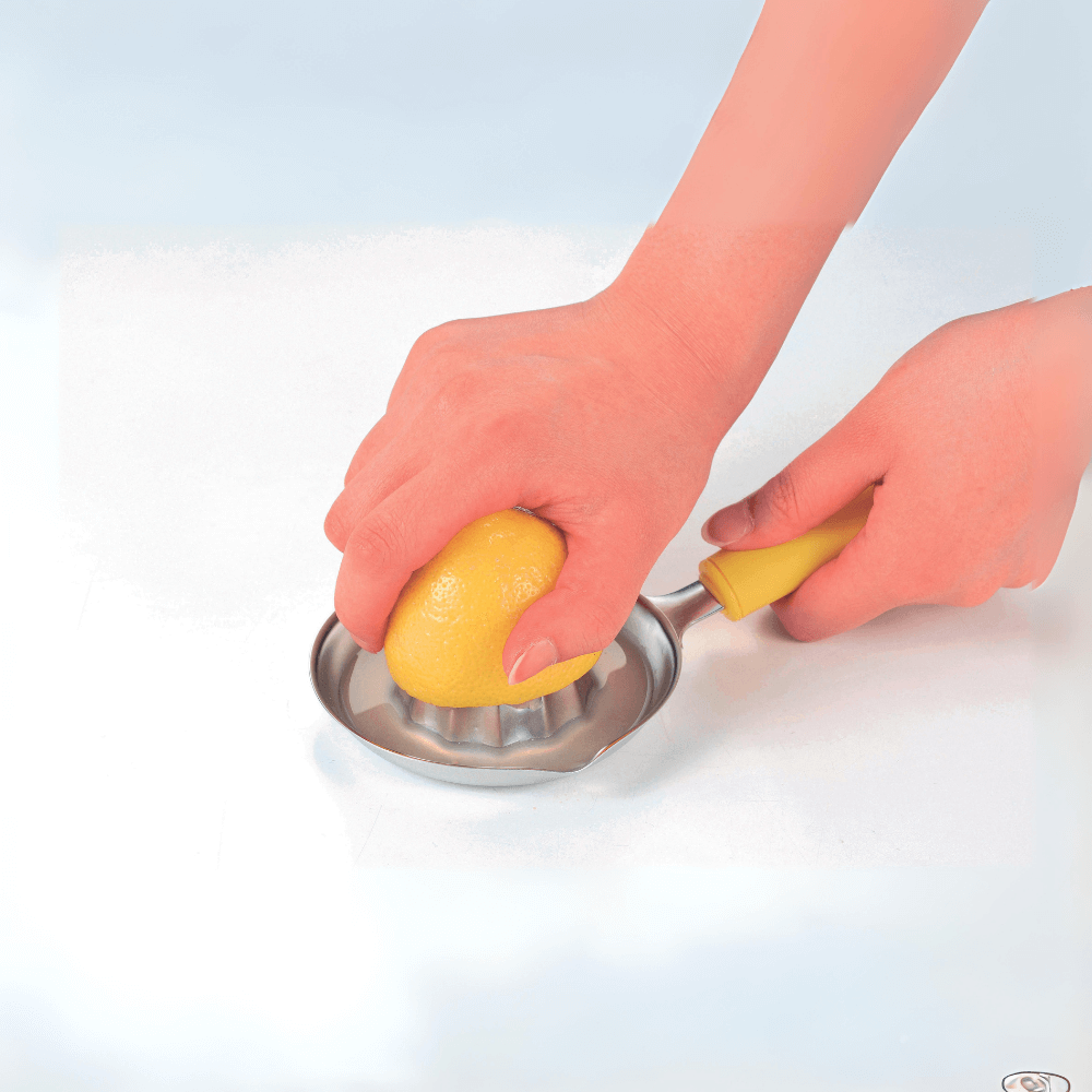 manual juicer