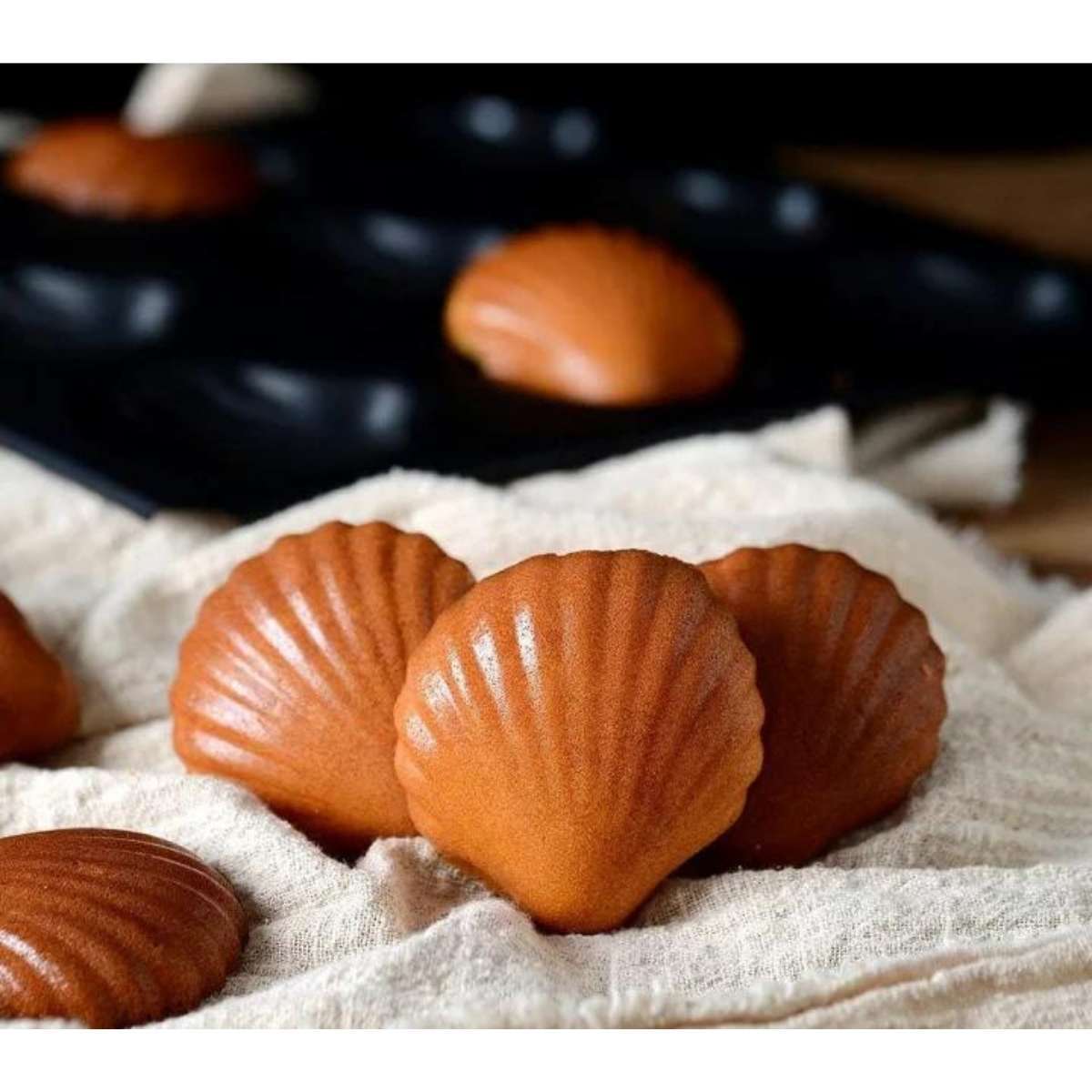 Tigercrown Cockshell Cake Baking Pan 9P Black